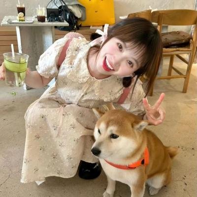 小绿和小蓝第三季